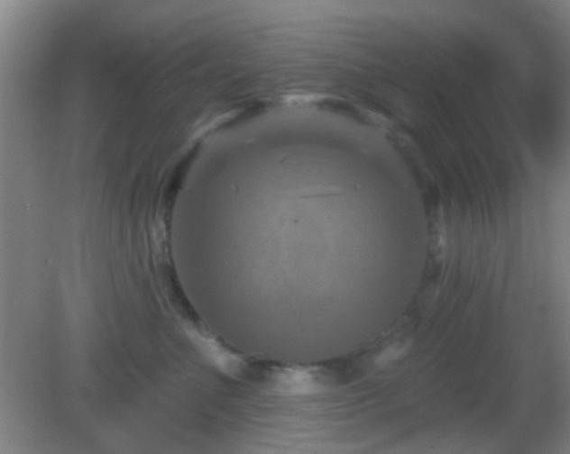 X0000082930523200702011243