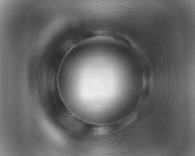 X0000082930525200702011243