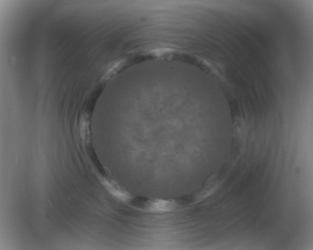 X0000082930527200702011243