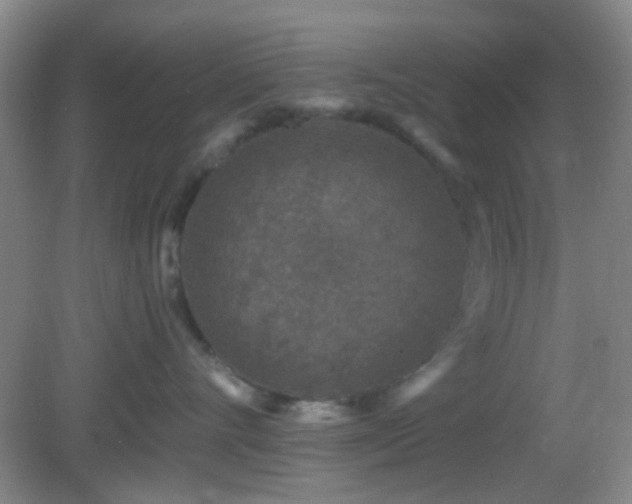 X0000082930528200702011243