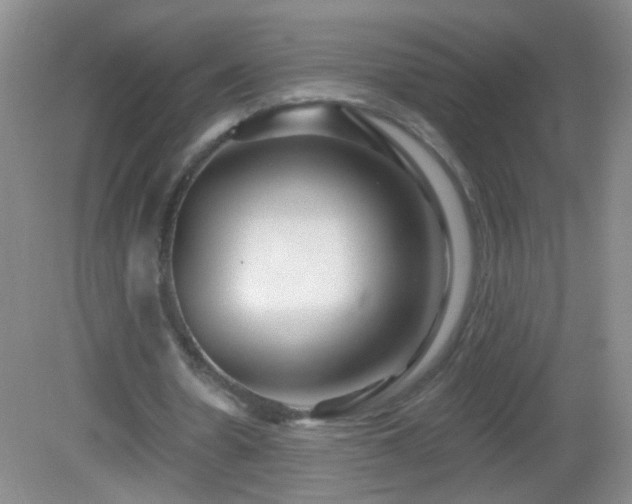X0000082930530200702011242