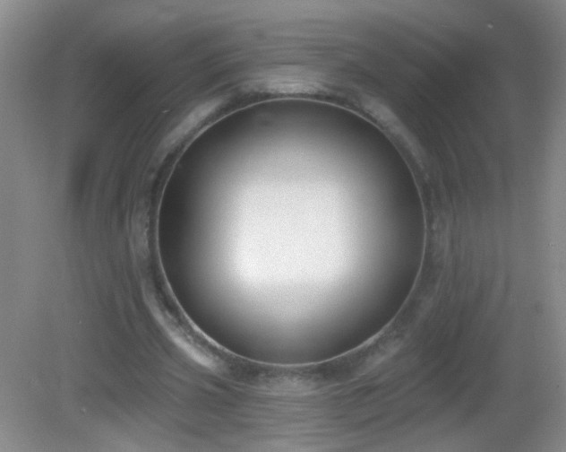 X0000082930533200702011242
