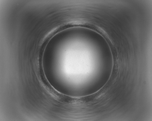 X0000082930535200702011242