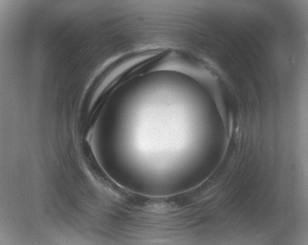 X0000082930540200702011242
