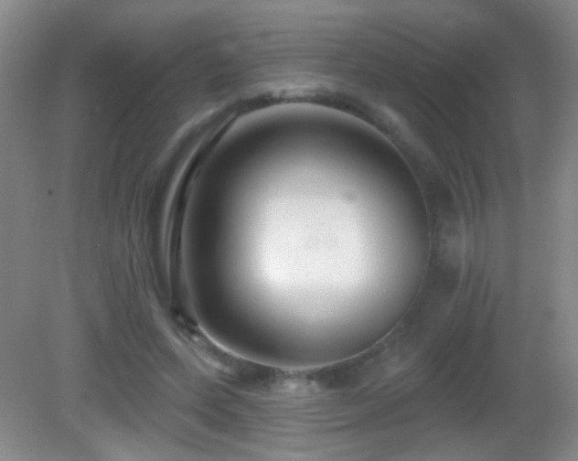 X0000082930543200702011242