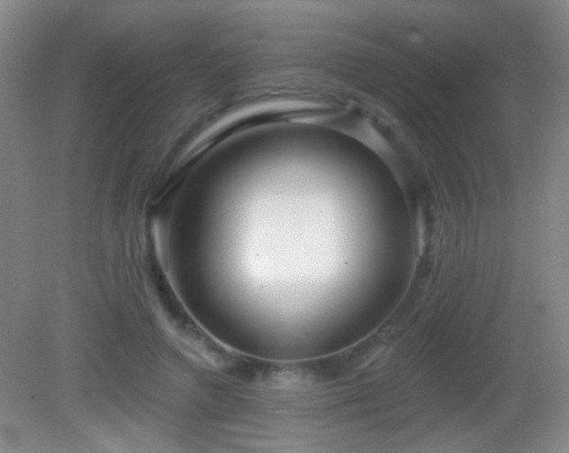 X0000082930546200702011242