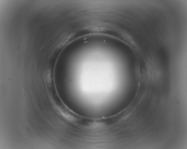 X0000082930549200702011242