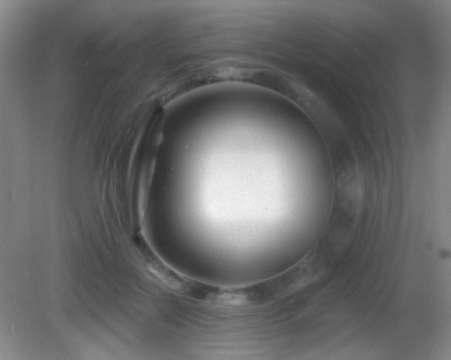 X0000082930554200702011242