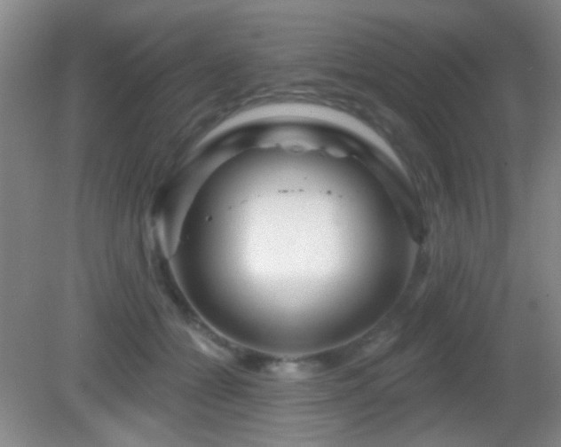 X0000082930558200702011243