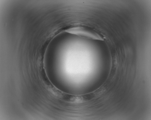 X0000082930559200702011243