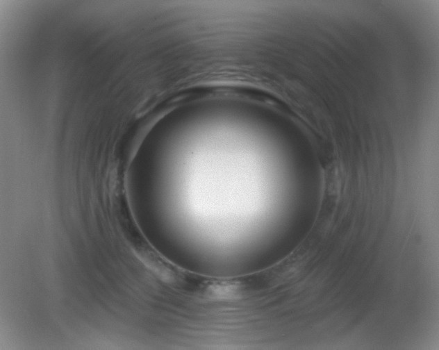 X0000082930560200702011243