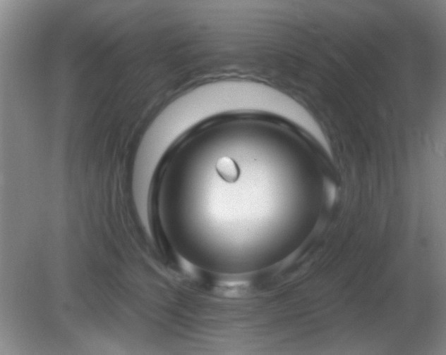 X0000082930564200702011243