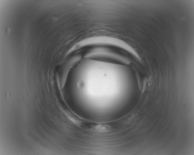 X0000082930566200702011243