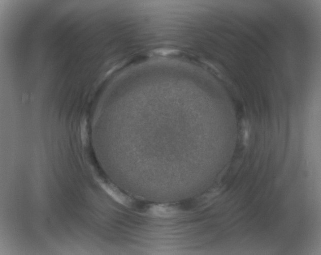 X0000082930568200702011243