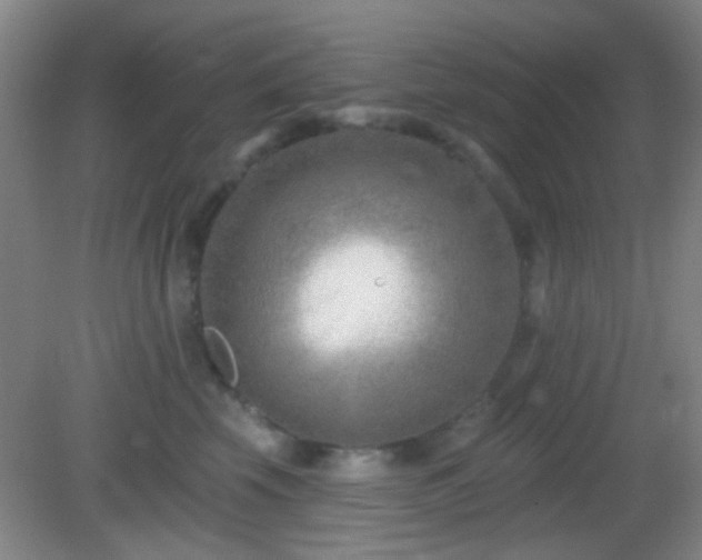 X0000082930569200702011243
