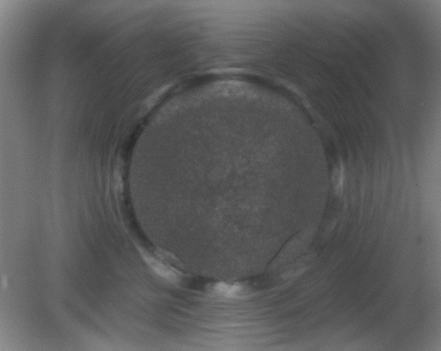 X0000082930570200702011243