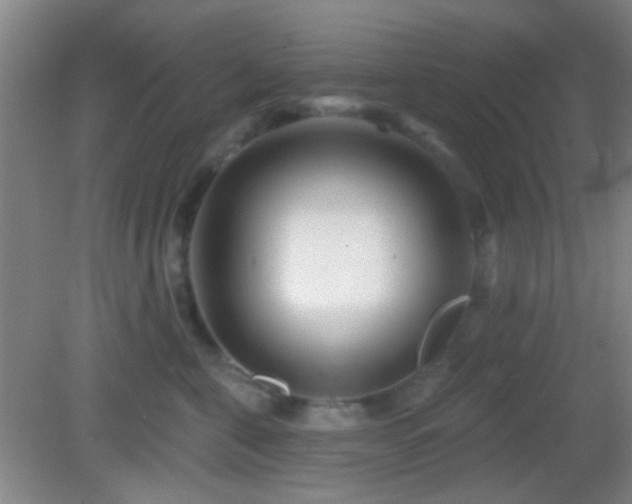 X0000082930571200702011243