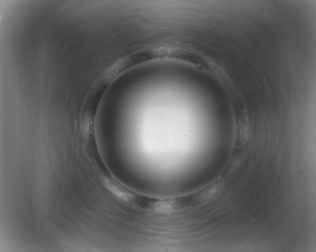 X0000082930574200702011243