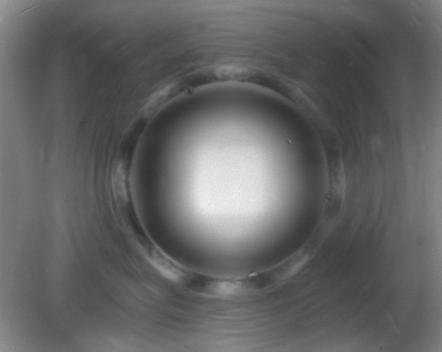 X0000082930575200702011243