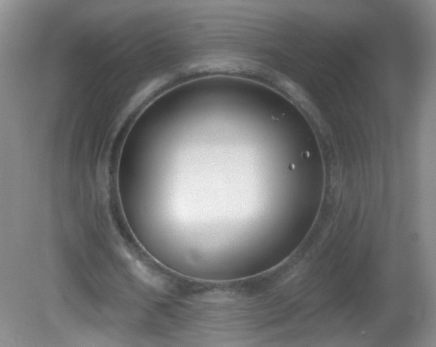 X0000082930578200702011242