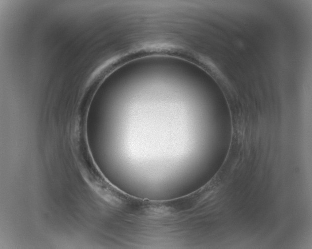 X0000082930583200702011242