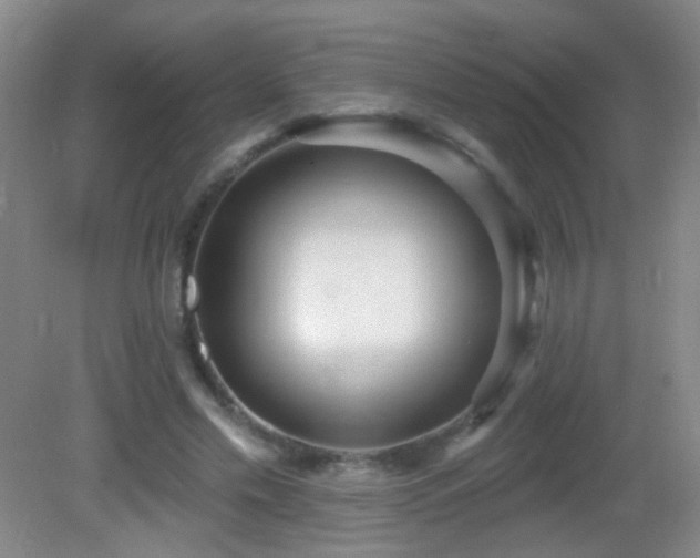 X0000082930589200702011242