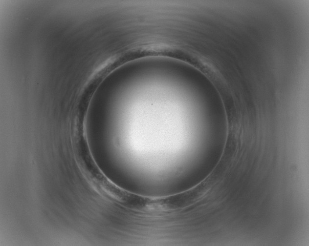 X0000082930591200702011242