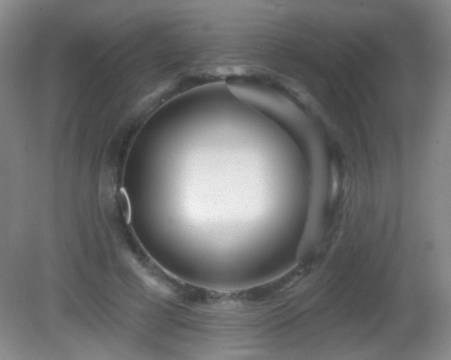 X0000082930593200702011242