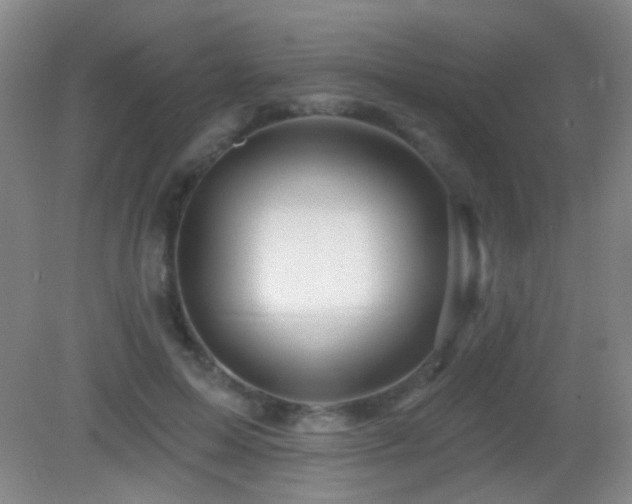 X0000082930599200702011242