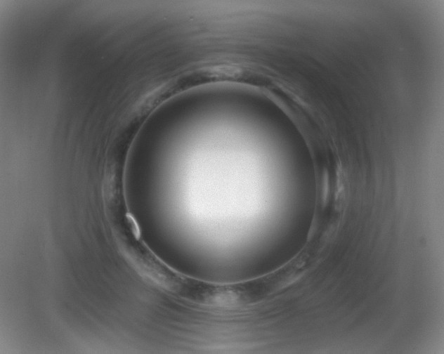 X0000082930600200702011242