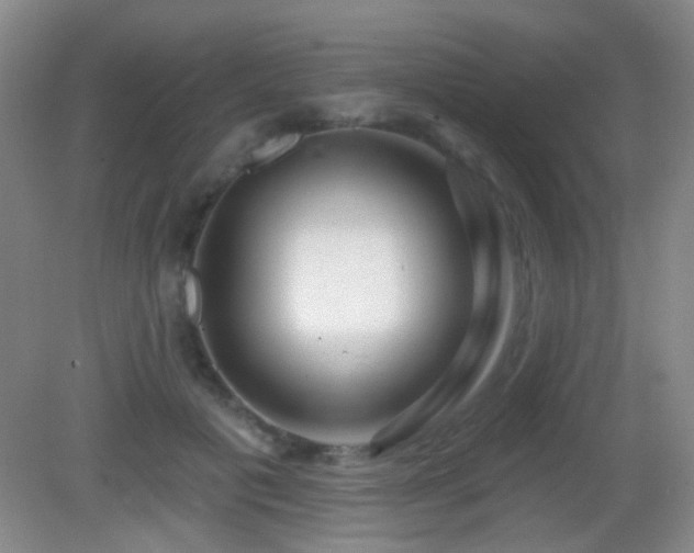 X0000082930601200702011242