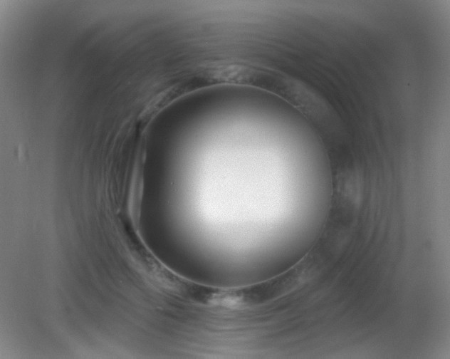X0000082930602200702011242