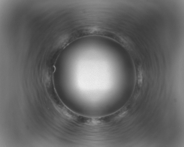 X0000082930607200702011242