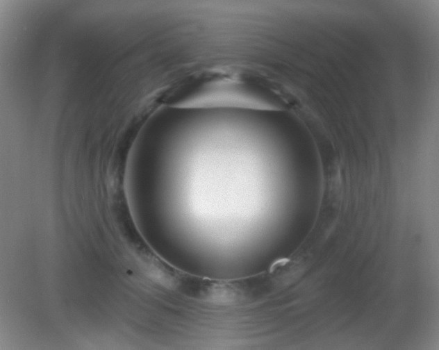 X0000082930608200702011241