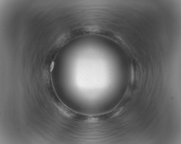 X0000082930609200702011241