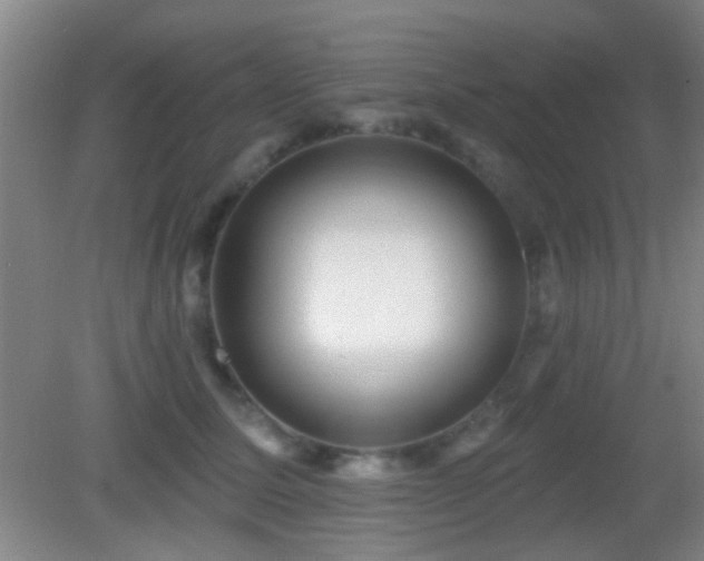 X0000082930611200702011241