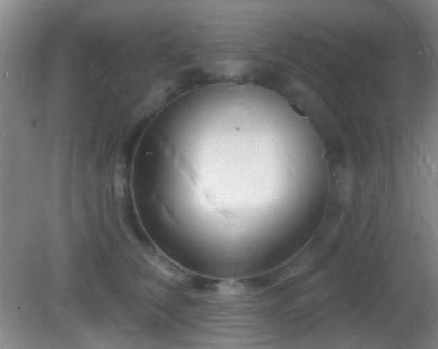 X0000082930612200702011241