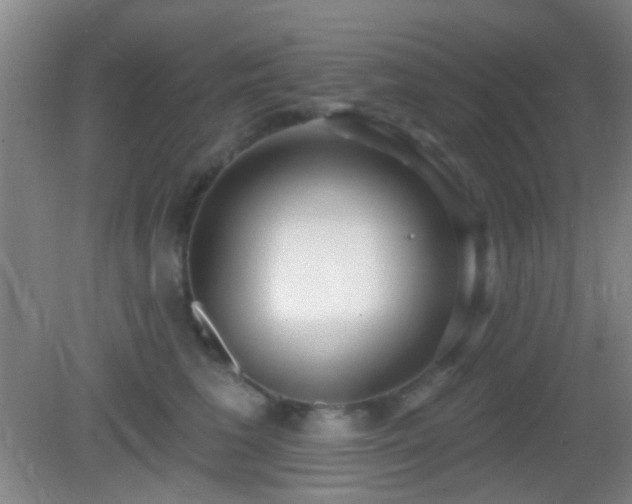 X0000082930613200702011241