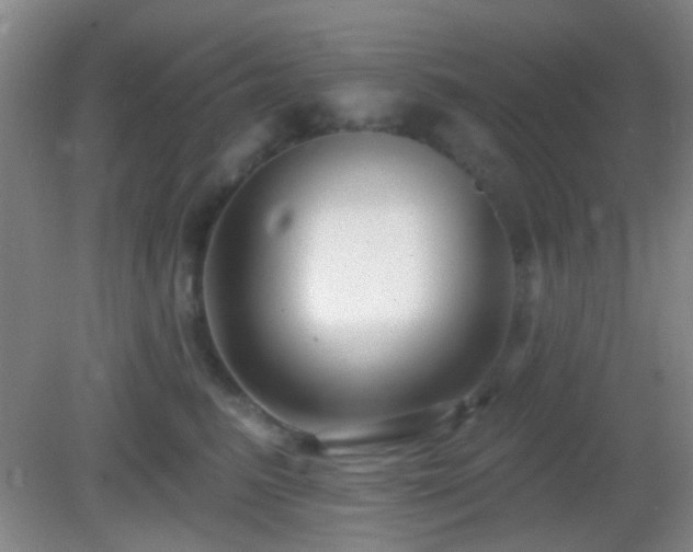 X0000082930615200702011241