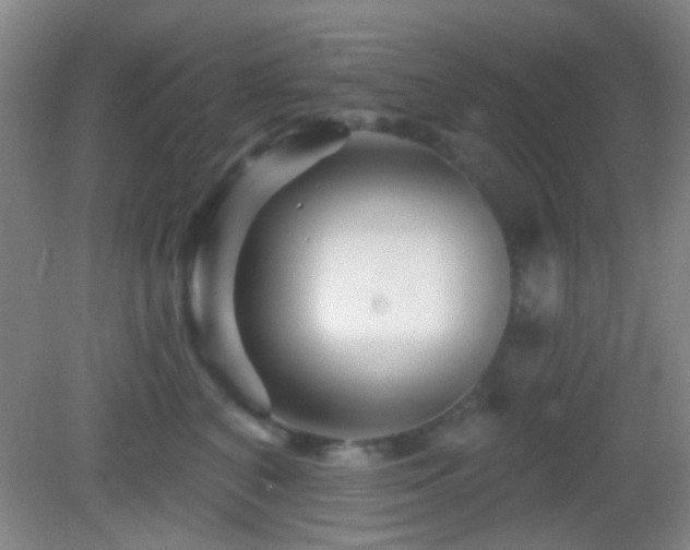X0000082930616200702011241