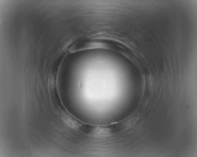 X0000082930617200702011241