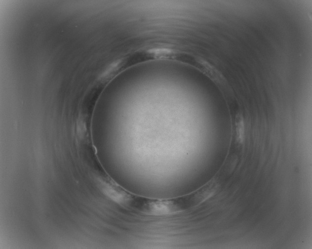 X0000082930618200702011241