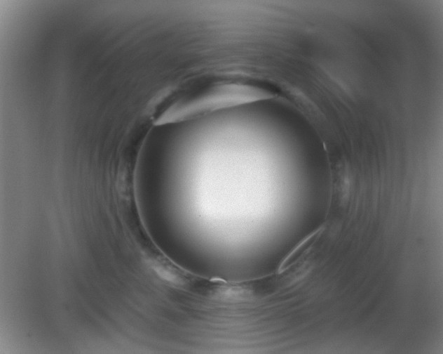 X0000082930619200702011241