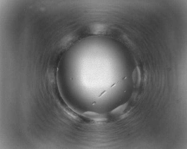 X0000082930620200702011241