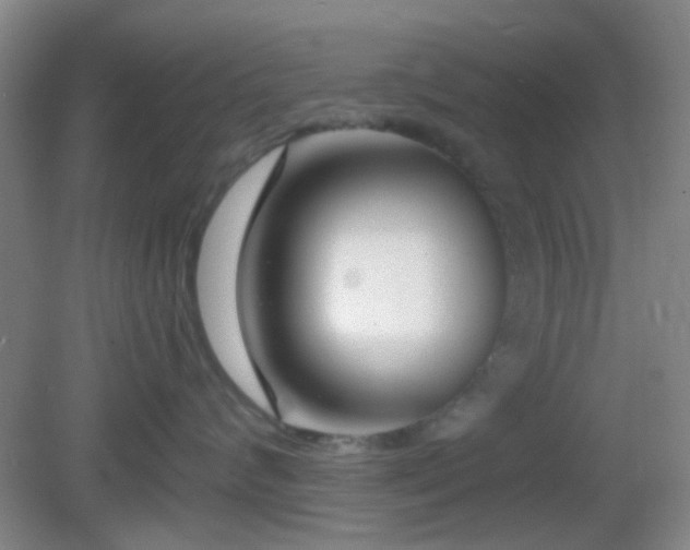 X0000082930624200702011241