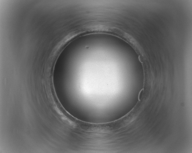 X0000082930625200702011240
