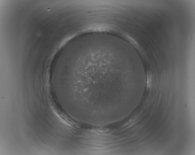X0000082930627200702011240