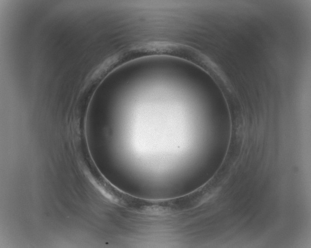 X0000082930633200702011241