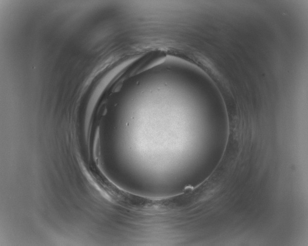 X0000082930634200702011241