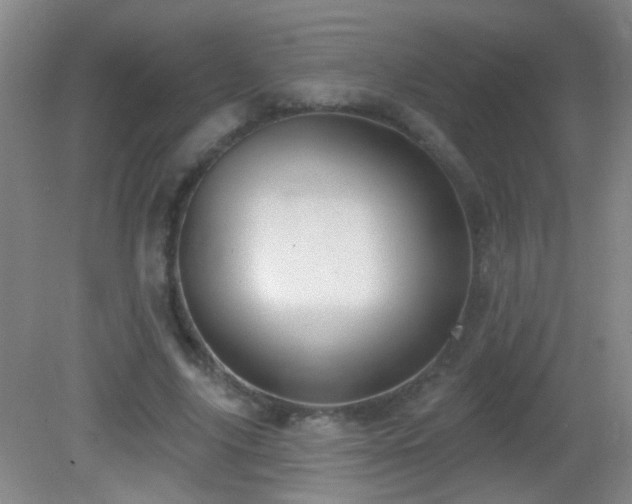 X0000082930635200702011241